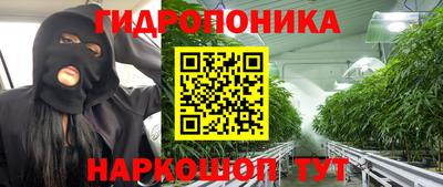 Альфа ПВП Ачхой-Мартан