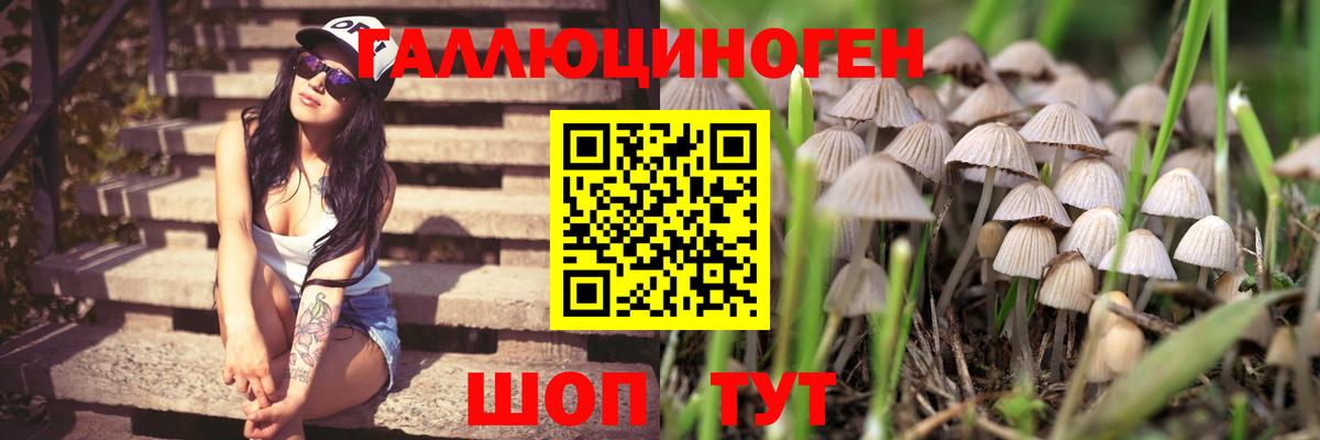 Псилоцибиновые грибы Magic Shrooms Бузулук